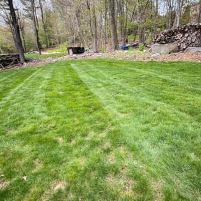 yard work by HZcontracting reviewed on August 18, 2025