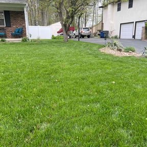 grass cutting by Green Go Lawn Care reviewed on October 19, 2023