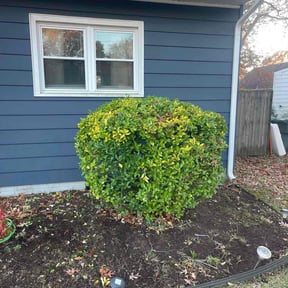 Bush Trimming by New Heights LawnCare reviewed on October 13, 2024