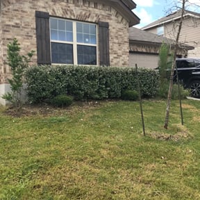 Bush Trimming by Denson's Total Lawn Care reviewed on August 17, 2025