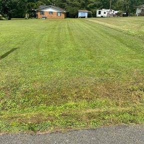 lawn maintenance by Duartes Lawn Service reviewed on November 9, 2017