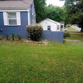 Bush Trimming by Griggs professional service reviewed on August 15, 2025