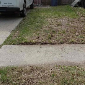 Leaf Removal by Country Cuts Landscapes &amp; Renovations  reviewed on October 21, 2022