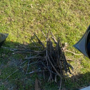 Leaf Removal by A+ Lawn Care reviewed on April 19, 2026