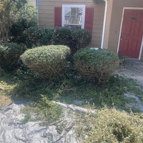 Bush Trimming by Ryan Martinovich reviewed on November 24, 2025