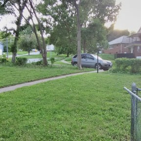 Bush Trimming by Royalty lawn care reviewed on August 16, 2025