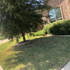 Bush Trimming by Zay’s Lawn Services reviewed on August 15, 2025