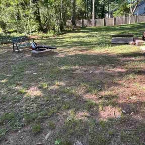 Leaf Removal by Professional Lawn &amp; Landscape LLC reviewed on May 20, 2026