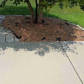 Flower Bed Weeding by GreenWayCutters reviewed on July 18, 2026
