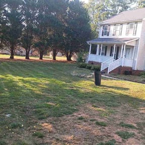 Flower Bed Weeding by Ramirez reviewed on June 15, 2026