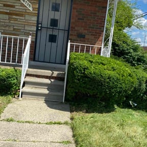 Bush Trimming by B&W Lawn Care and Light Hauling reviewed on August 20, 2025