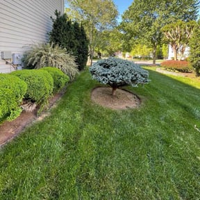 landscaping services by Tony&#039;s Lawn and Plowing Services reviewed on June 8, 2023