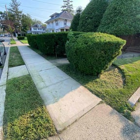 lawn care by A1 America  Landscaping reviewed on May 8, 2025
