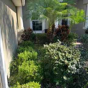 Bush Trimming by Main Lawn Care reviewed on April 1, 2022