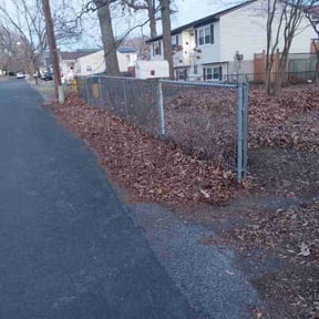 Leaf Removal by Eddies lawn service reviewed on January 17, 2026