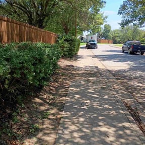 Bush Trimming by Northwest Best Lawn Care reviewed on May 3, 2023