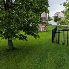 yard service by Blue Landscape and Construction reviewed on November 19, 2025