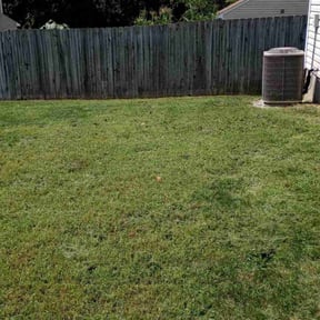 turf maintenance by LoneStar Mow Pros reviewed on May 1, 2024