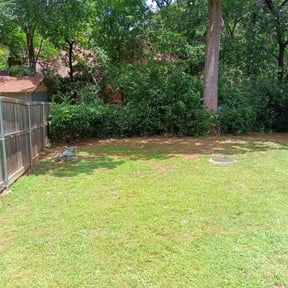 Bush Trimming by HI-POWER LLC reviewed on August 21, 2025