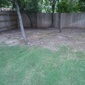 Leaf Removal by L7 Lawn Care reviewed on August 15, 2025