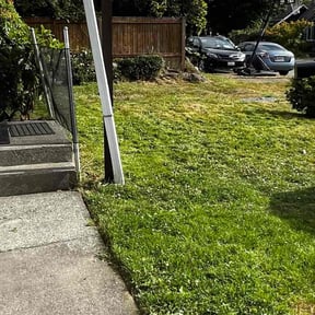 Bush Trimming by Stephen's Lawns reviewed on August 16, 2025
