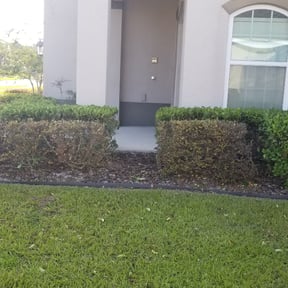 Bush Trimming by Vision lawn care and maintenance LLC reviewed on August 15, 2025
