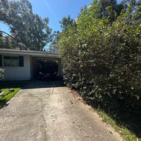 Bush Trimming by Southern Cut Lawn Care reviewed on April 22, 2025