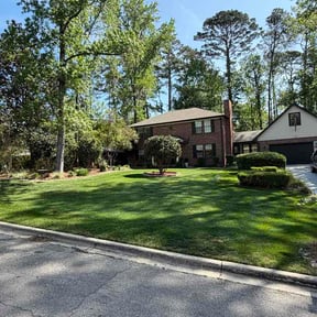 Bush Trimming by Lawn care fast and friendly reviewed on March 28, 2026