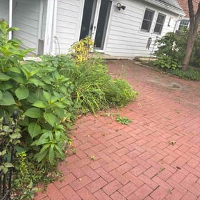 Flower Bed Weeding by Tater's Lawn Care reviewed on August 25, 2026