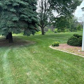 lawn service by Hands on lawn care reviewed on March 26, 2024