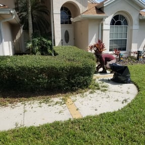 Bush Trimming by Ultimate Landscape Contractor reviewed on August 16, 2025