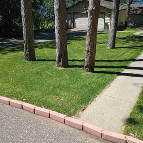 residential landscaping by Diego Mojica Lawn Care reviewed on March 12, 2024