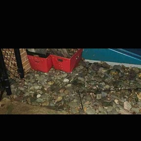 Leaf Removal by All Good Handyman Co. reviewed on March 26, 2025