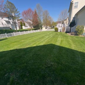 landscaping services by Motions Junk Removal reviewed on August 19, 2025