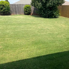 turf maintenance by Almost Perfect lawncare reviewed on May 1, 2024