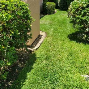 yard maintenance by Chopp Detailing reviewed on August 18, 2025