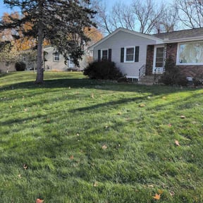 Leaf Removal by Ridgeway Enterpises &amp; Sons LLC reviewed on November 23, 2025