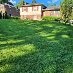 yard service by Elite Landscaping reviewed on May 16, 2024