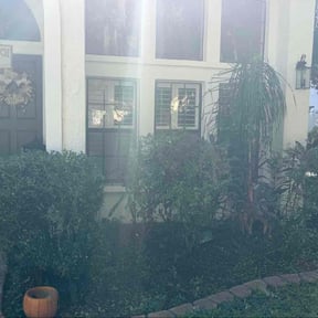 Bush Trimming by Sharp Property Preservation reviewed on November 23, 2025