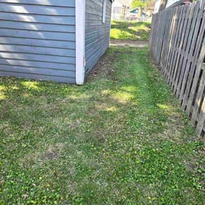 Leaf Removal by 25 And Up Cuts More LLC reviewed on May 30, 2026