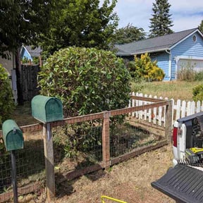 Bush Trimming by Eden Green Landscaping reviewed on June 19, 2026