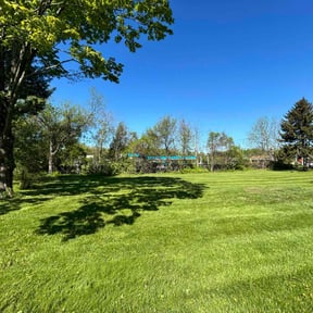 yard service by KLS Lawn reviewed on August 19, 2025