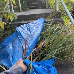 Bush Trimming by Scott Bensing Lawn Care reviewed on November 24, 2025