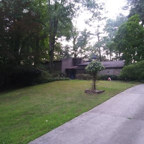 Bush Trimming by Zone life lawn service reviewed on November 21, 2025