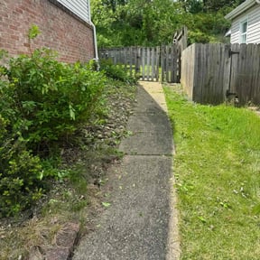Bush Trimming by Tri-County Lawn Care & removals reviewed on August 13, 2025