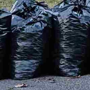 Leaf Removal by Kc lawn care reviewed on November 22, 2025