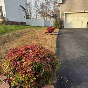 Bush Trimming by Royal Scenery LLC reviewed on November 19, 2025