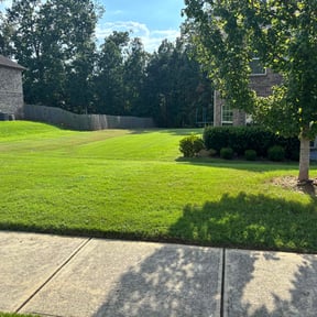yard work by Tree to Table LLC reviewed on August 20, 2025