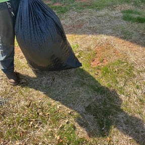 Leaf Removal by John's Lawn Maintenance reviewed on September 9, 2025
