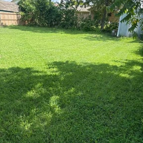 yard maintenance by Creative Lawns LLC reviewed on August 15, 2025